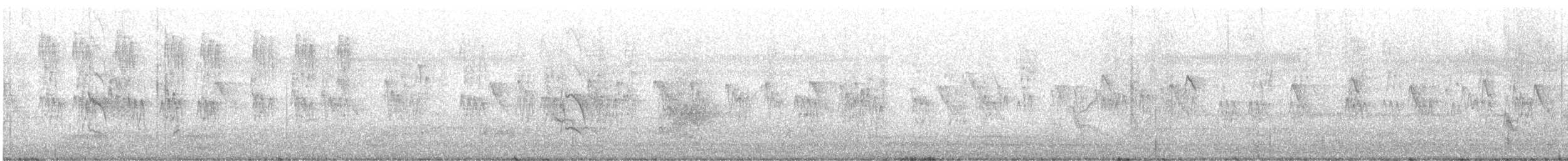 Малабарская амадина - ML646621358