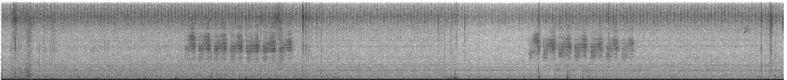 Black-tailed Gnatcatcher - ML646621501