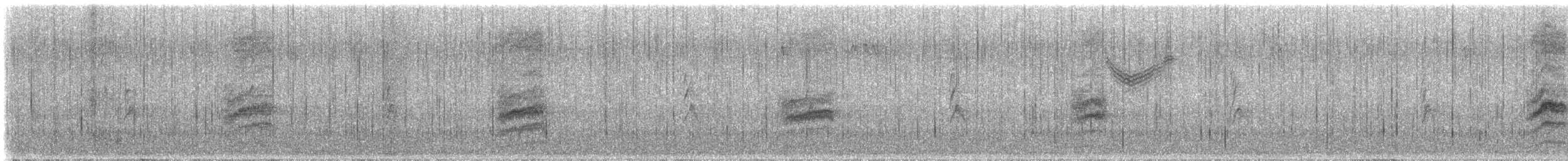 Пятнистый тохи - ML646621877