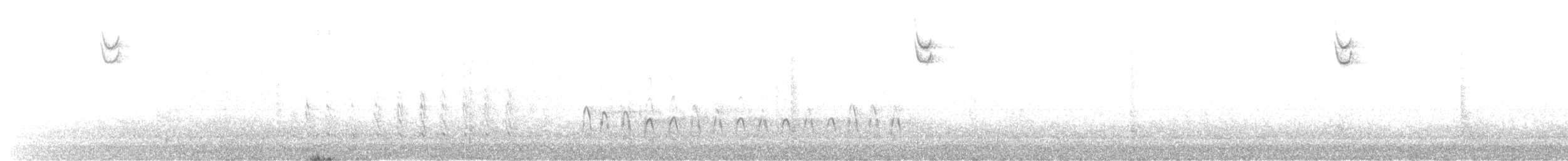 Американский лунь - ML646622135