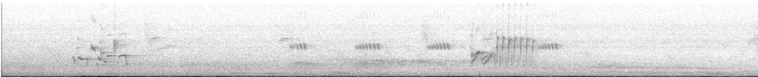 Black-bellied Starling - ML646622409