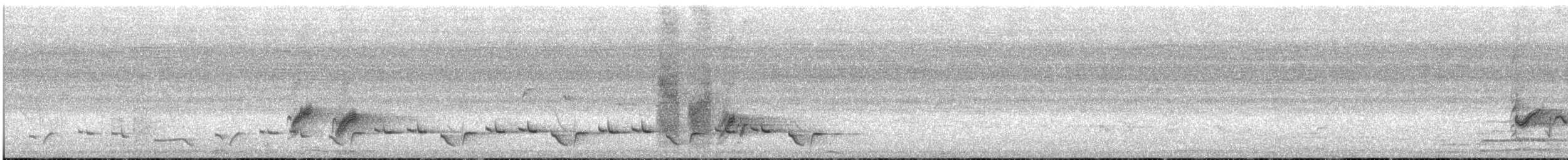 Black-bellied Starling - ML646622410