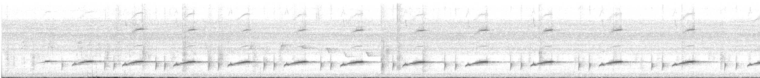 White-browed Robin-Chat - ML646622428