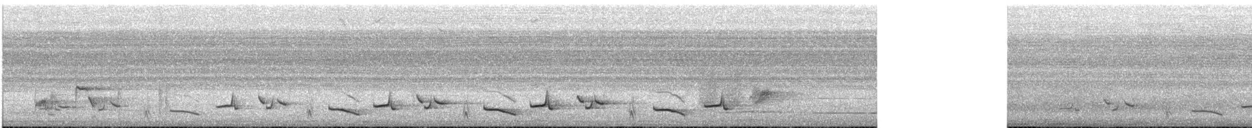 White-browed Robin-Chat - ML646622429