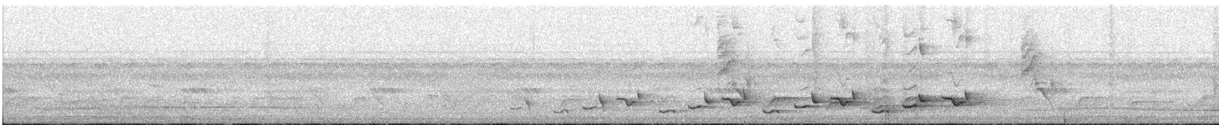 Белобровый рыжехвост - ML646622430