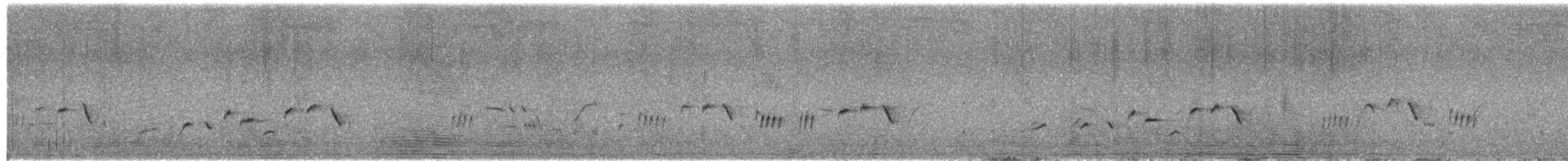 Western Fieldwren - ML646622437