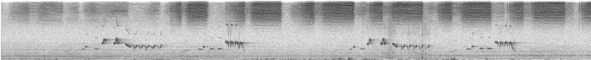 Скальный ложнокрапивник - ML646622522