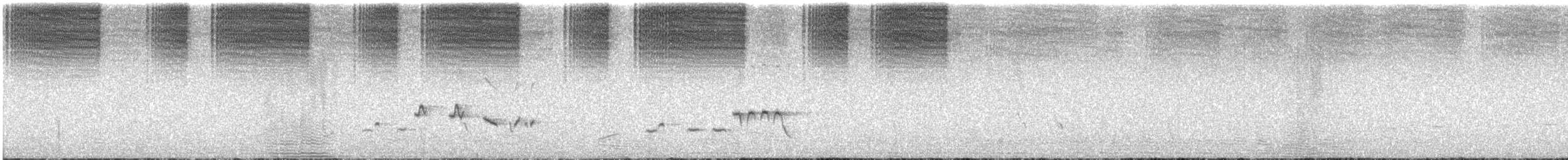 Скальный ложнокрапивник - ML646622582