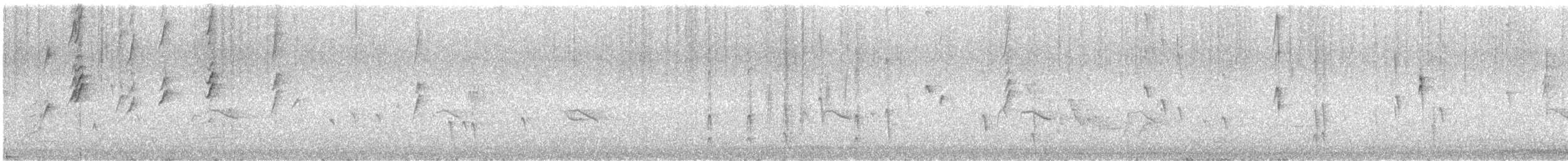 Кольчатый медосос - ML646622911