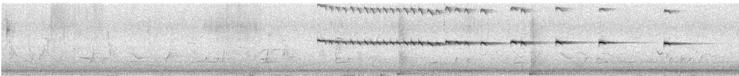 Rufous Treecreeper - ML646623222