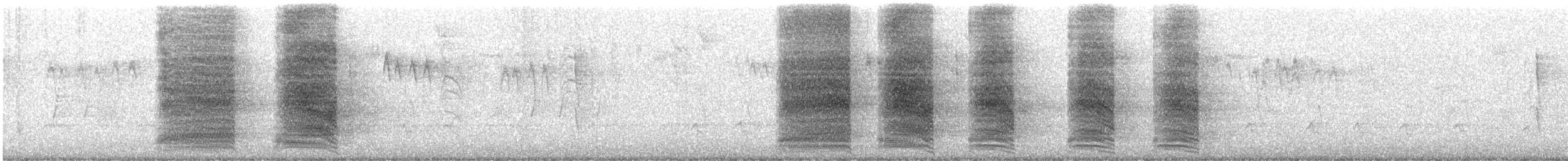 Steller's Jay - ML646623255