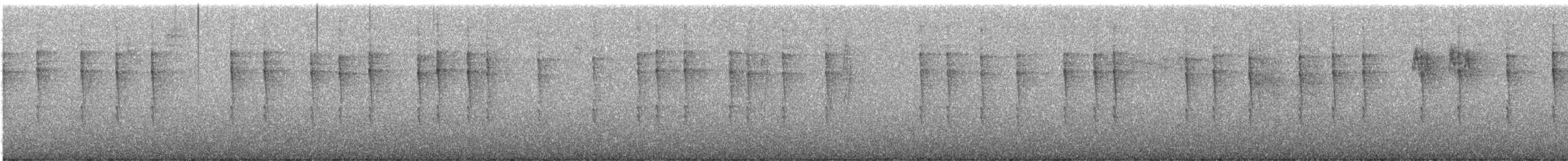 Pacific Wren - ML646623257