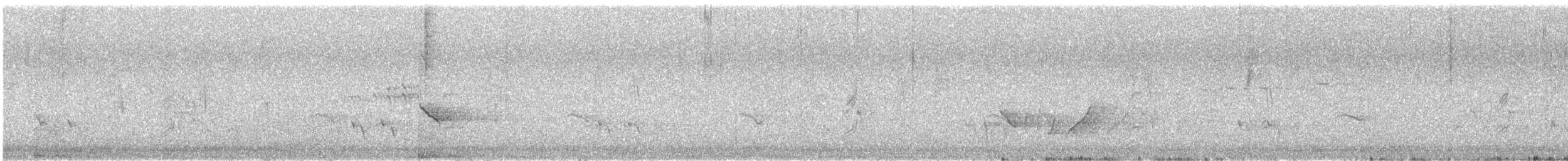 Yellow-plumed Honeyeater - ML646623308