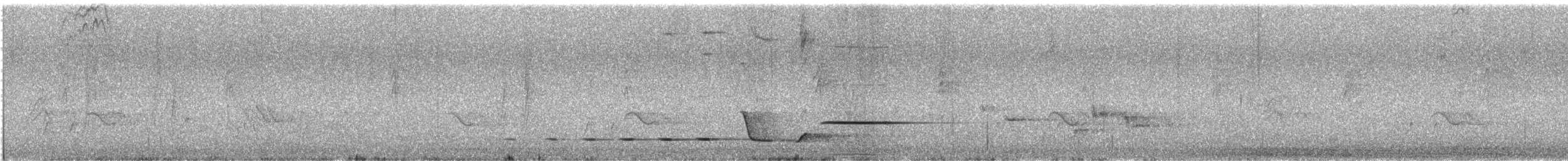 hvittøyleplystrer - ML646623394