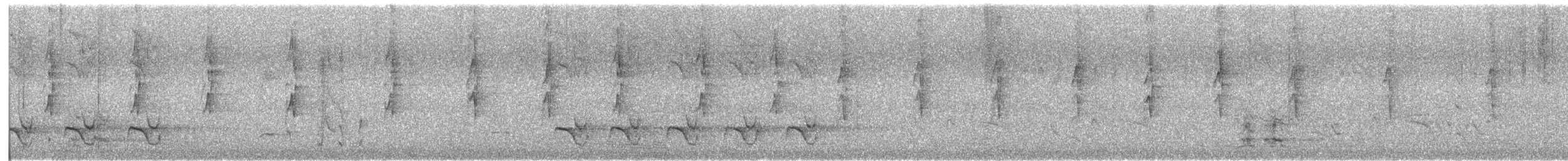 svarthodeparakitt - ML646623444