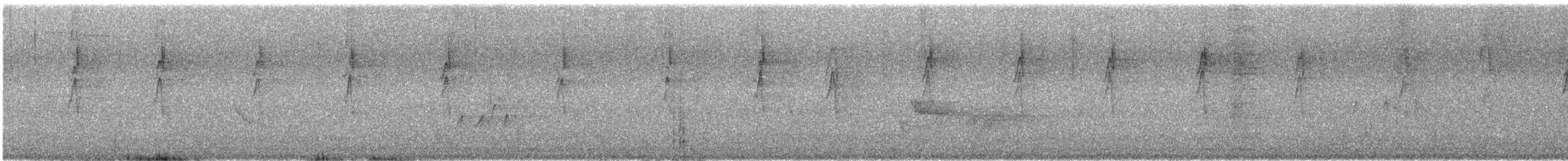 ornathonningeter - ML646623569