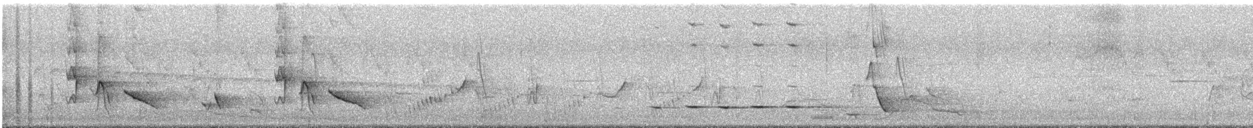 hvittøyleplystrer - ML646623670