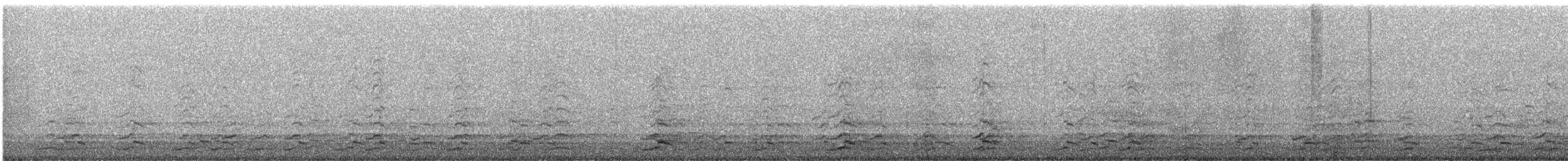 Cackling Goose - ML646623693