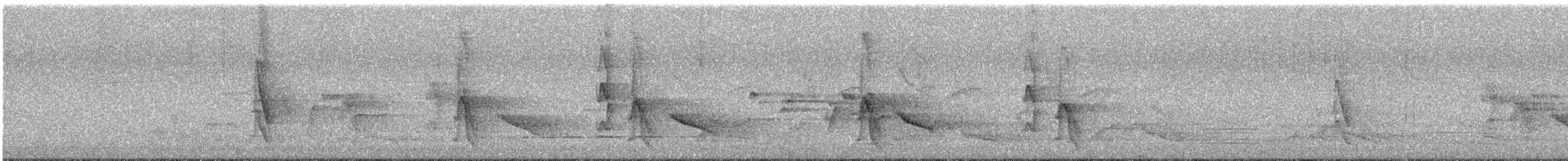 gallaviftestjert - ML646623795