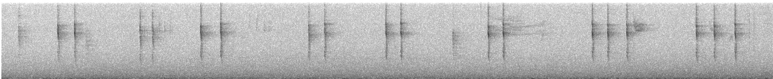 Pacific Wren - ML646623796