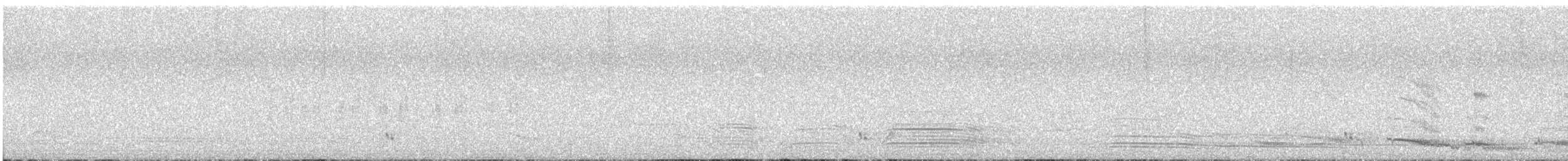 plystreskjære (dorsalis) - ML646623935