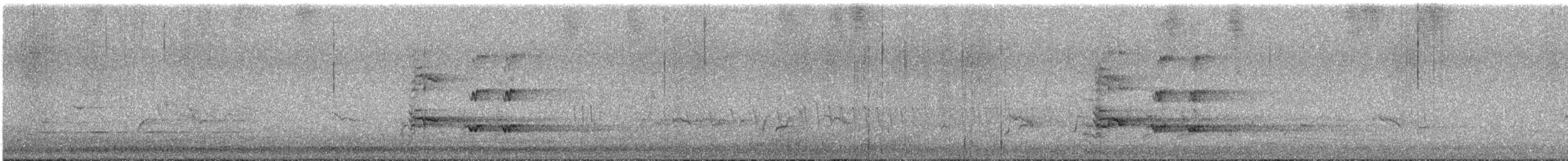 sotkurrawong (versicolor/plumbea) - ML646624033