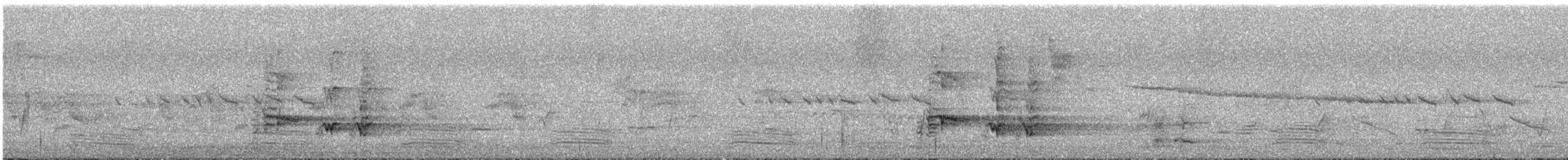 sotkurrawong (versicolor/plumbea) - ML646624051