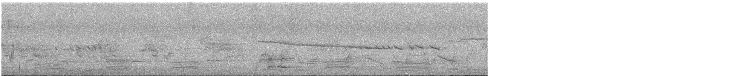 gråviftestjert (preissi) - ML646624052