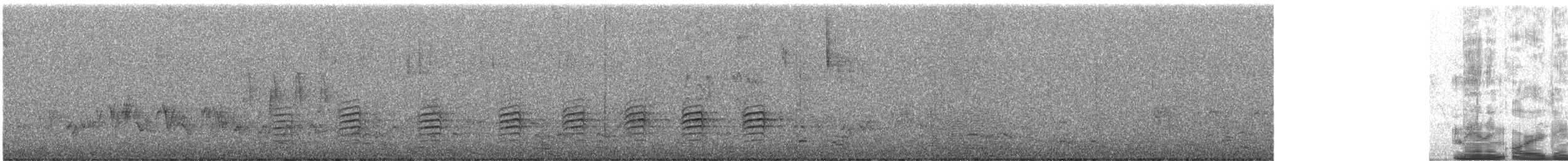 Red-breasted Nuthatch - ML646624053