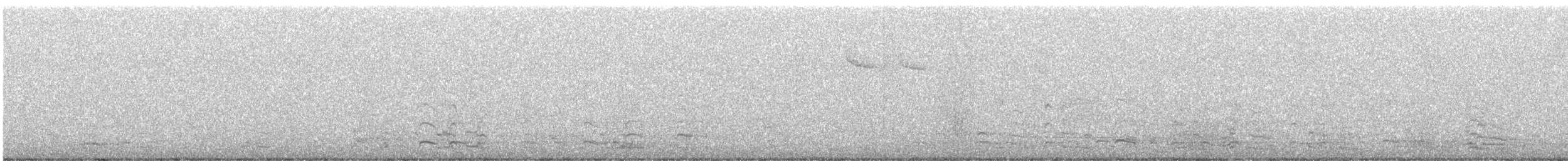 Greater White-fronted Goose - ML646624068