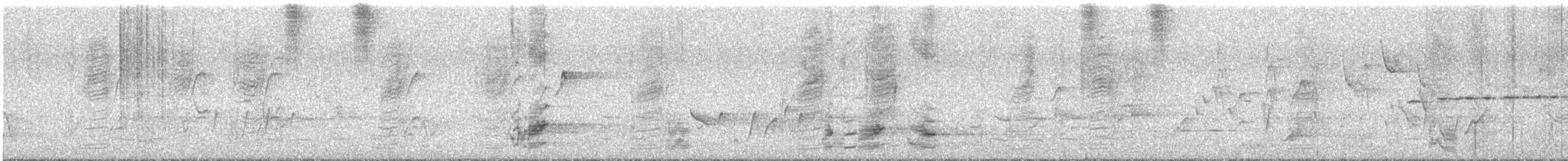 svartstjertparakitt - ML646624115