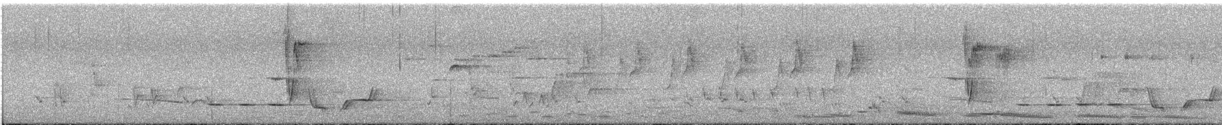 gullplystrer (fuliginosa/occidentalis) - ML646624216