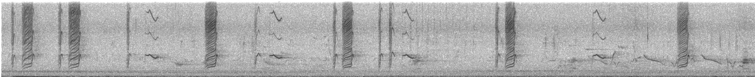 sotsvalestær - ML646624260