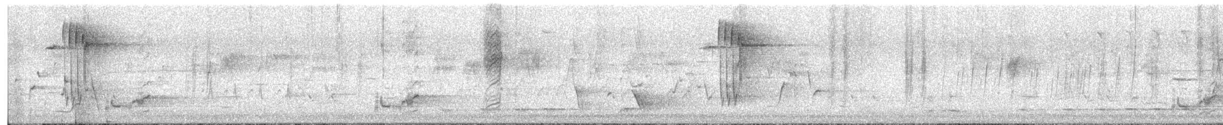 svartstjertparakitt - ML646624349