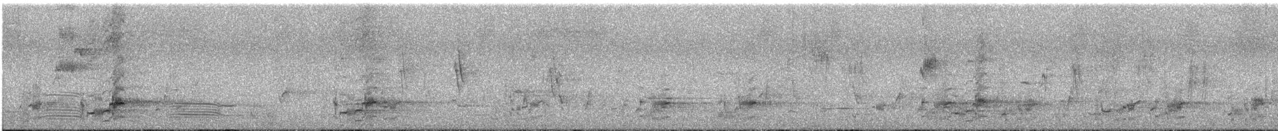 svartstjertparakitt - ML646624375