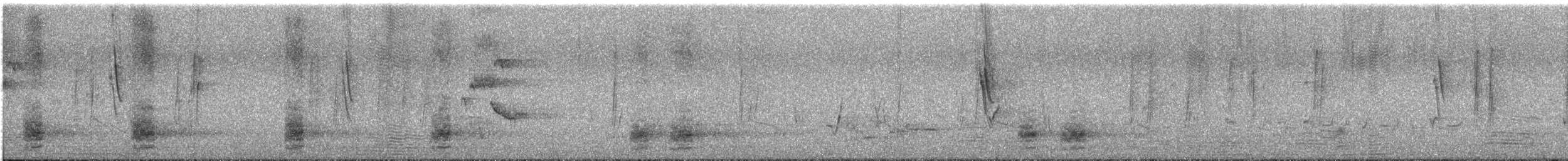 svartstjertparakitt - ML646624408