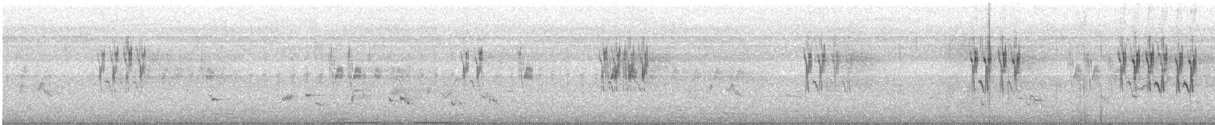 orientpiplerke - ML646624424