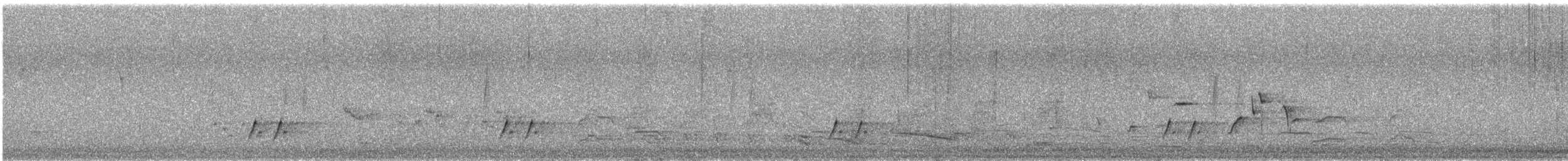 stripediamantfugl (substriatus) - ML646624442