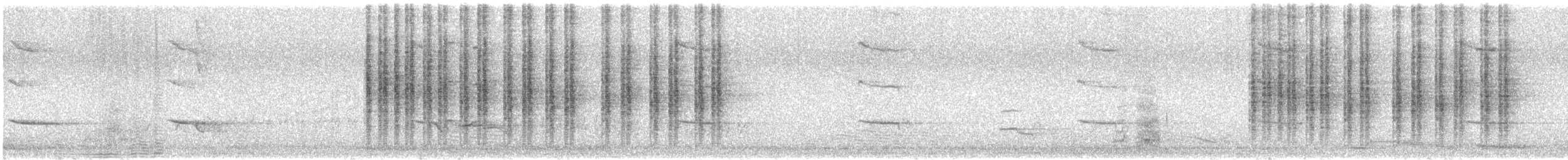 gallaviftestjert - ML646624558