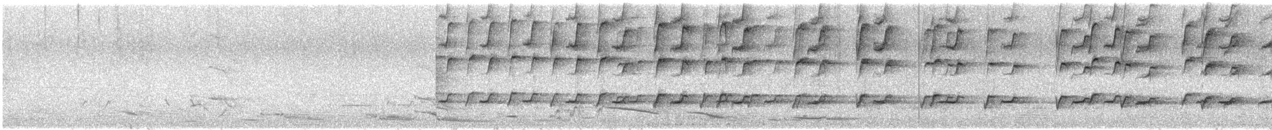 svarthodeparakitt - ML646624567