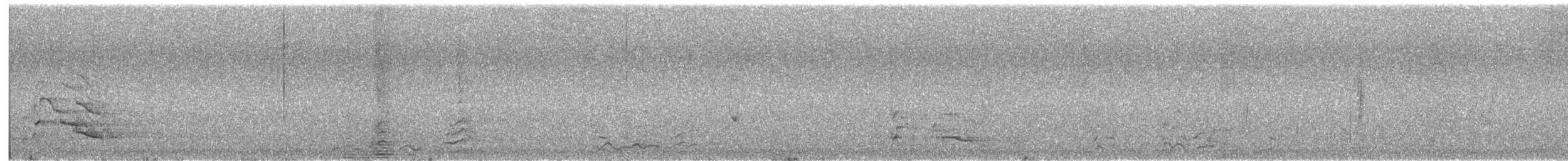 hvitkinnkakadu - ML646624595