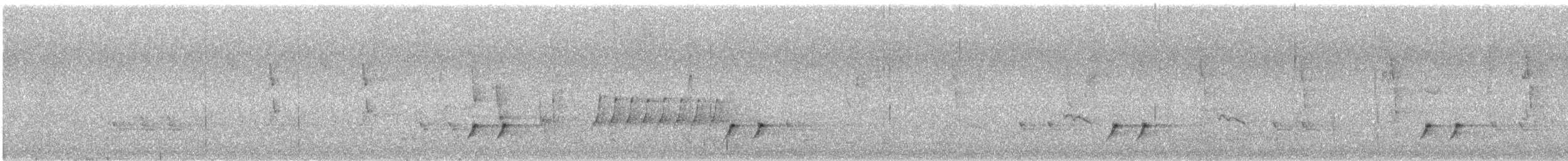 stripediamantfugl (substriatus) - ML646624616