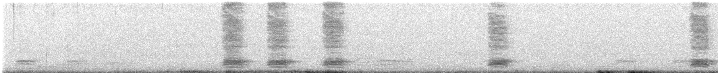 huskråke - ML646624908