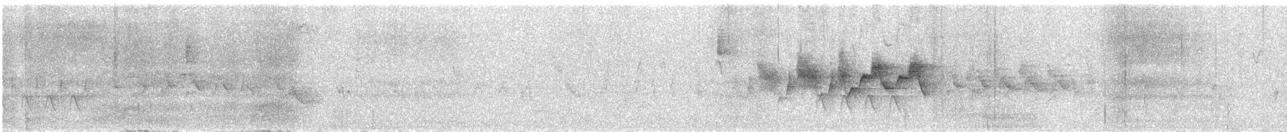 gråparula - ML646624929