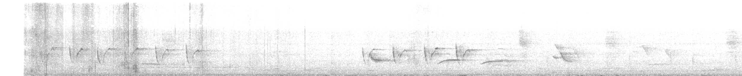 langstjertskredderfugl - ML646624958