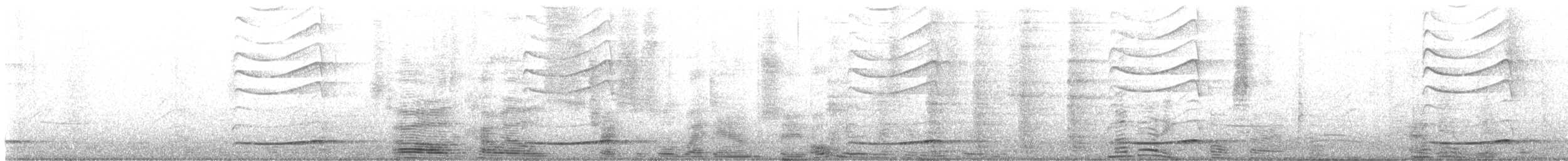 grånebbkoel (cyanocephalus/subcyanocephalus) - ML646624961