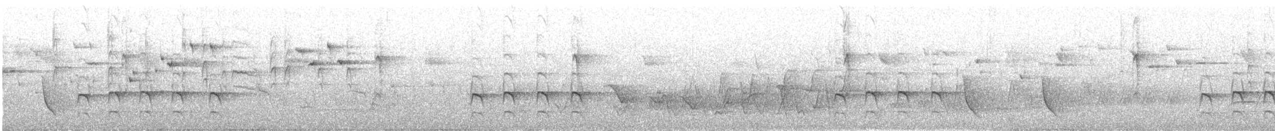 Sacred Kingfisher - ML646625065