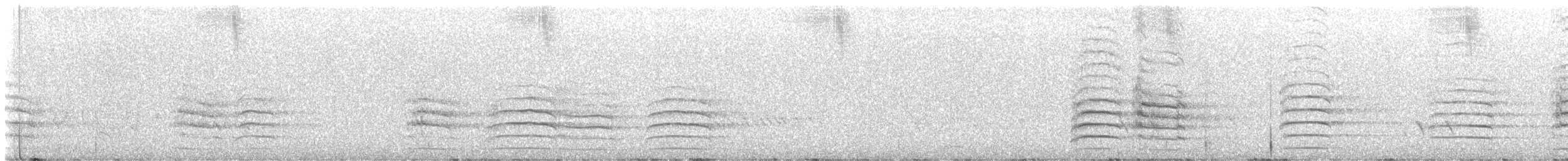 Red-tailed Black-Cockatoo - ML646625116