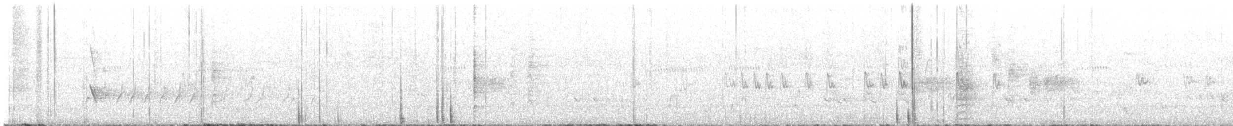 Méliphage mineur - ML646625204