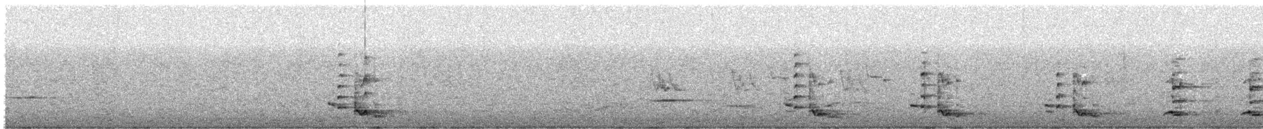 Polochion criard - ML646625623